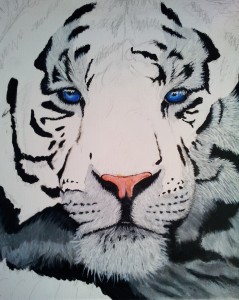 This was a work in progress for my tiger painting, I just loved how the eyes looked so bright and soft. Really want to do another painting of a pure white tiger. 